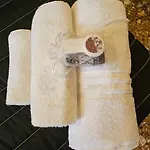 Belle Arti 42 בולוניה