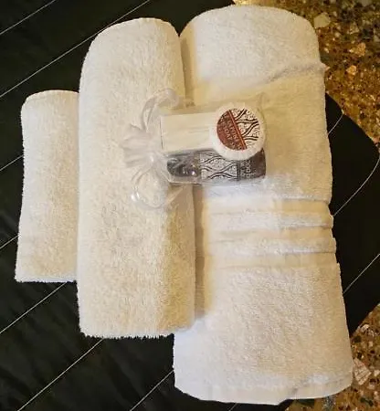 Belle Arti 42 볼로냐