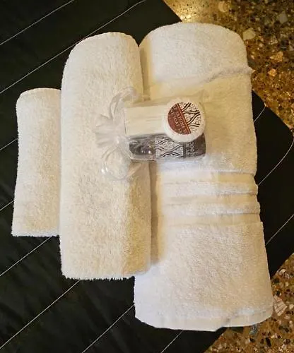 Belle Arti 42 Bolonya